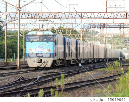 朝のM250 朝のM250 55059042