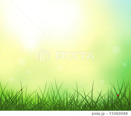 Grass sky sun ladybug summer background Grass sky sun ladybug summer background 55060088