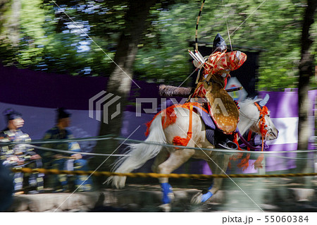 審査員が見守る流鏑馬競技（白馬・後ろ姿）White horse 55060384