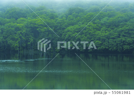 青森県十和田市　蔦沼 55061981