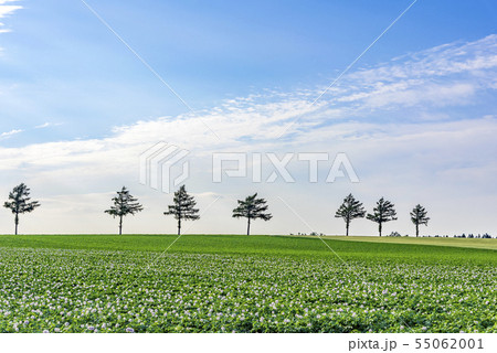 めまんべつメルヘンの丘 めまんべつメルヘンの丘 55062001