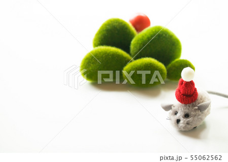 初日の出 55062562