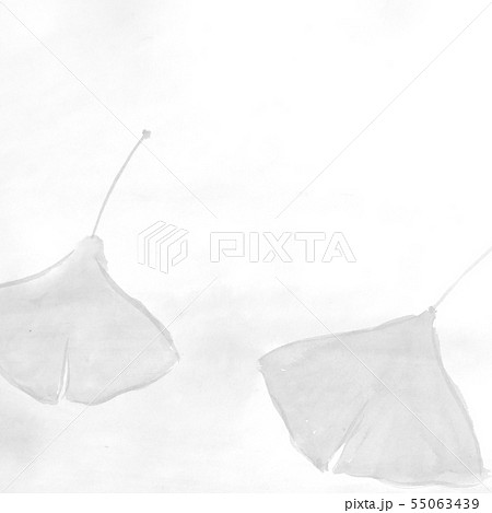 いちょうの葉っぱ(墨の手描きイラスト) いちょうの葉っぱ(墨の手描きイラスト) 55063439