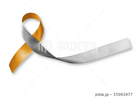 Gold silver ribbon for hearing disorders illness  55063977