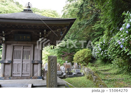 鎌倉市 安国論寺 鎌倉市 安国論寺 55064270