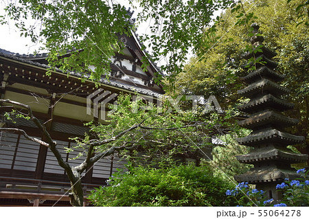 鎌倉市　安国論寺 55064278