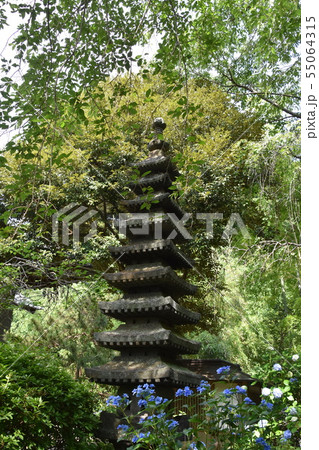 鎌倉市　安国論寺 55064315