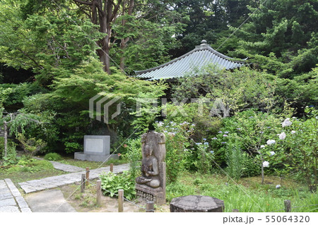 鎌倉市　安国論寺 55064320
