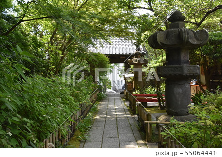 鎌倉市　安国論寺 55064441