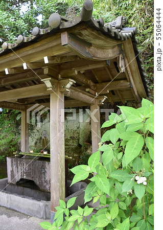 鎌倉市 安国論寺 手水舎 鎌倉市 安国論寺 手水舎 55064444