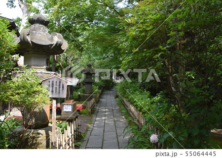 鎌倉市　安国論寺 55064445