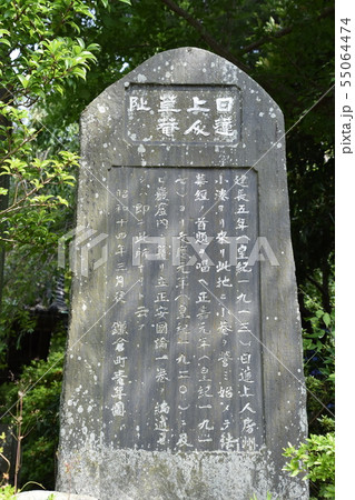 鎌倉市　安国論寺 55064474