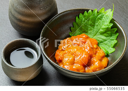 バフンウニの塩ウニ 55066535