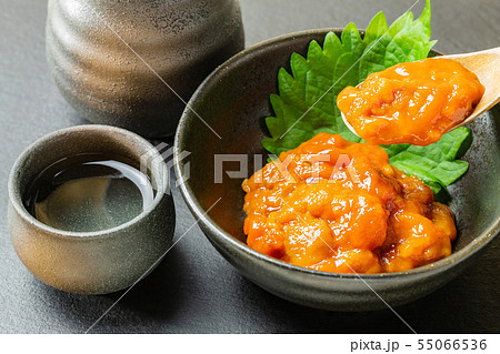 バフンウニの塩ウニ 55066536