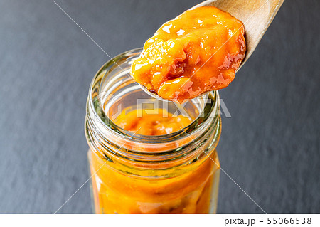 バフンウニの塩ウニ 55066538