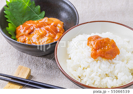 バフンウニの塩ウニと白米 バフンウニの塩ウニと白米 55066539