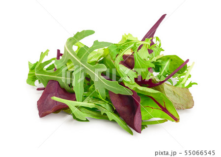 Mix of different salads isolated on white background 55066545