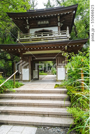 北鎌倉 浄智寺 鐘楼門 北鎌倉 浄智寺 鐘楼門 55066625