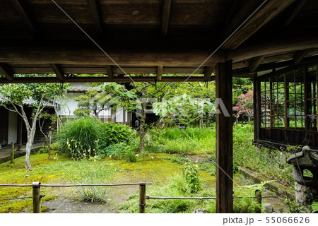 北鎌倉 浄智寺 北鎌倉 浄智寺 55066626