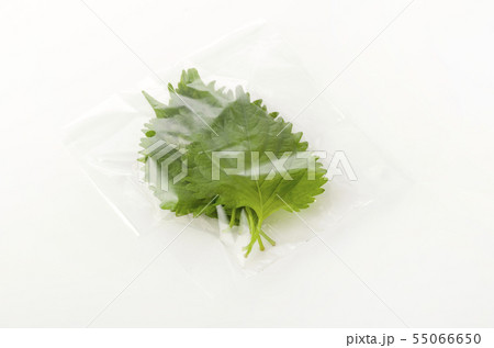 大葉 袋入り 大葉 袋入り 55066650