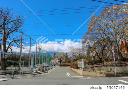 ■ 北杜高校の近く ■ 山梨県 北杜市 ■ 桜満開 ■ 北杜高校の近く ■ 山梨県 北杜市 ■ 桜満開 55067166