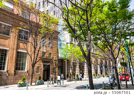 《兵庫県》神戸旧居留地の街並み 《兵庫県》神戸旧居留地の街並み 55067501
