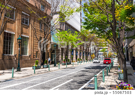 《兵庫県》神戸旧居留地の街並み 《兵庫県》神戸旧居留地の街並み 55067503