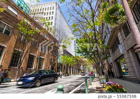 《兵庫県》神戸旧居留地の街並み 《兵庫県》神戸旧居留地の街並み 55067506