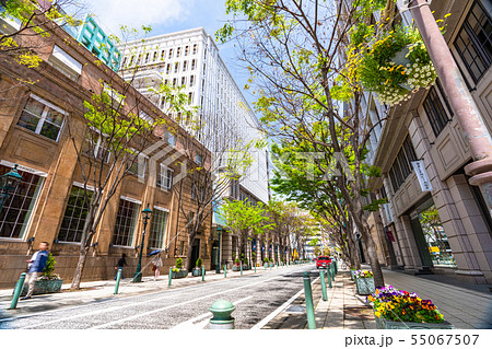 《兵庫県》神戸旧居留地の街並み 《兵庫県》神戸旧居留地の街並み 55067507
