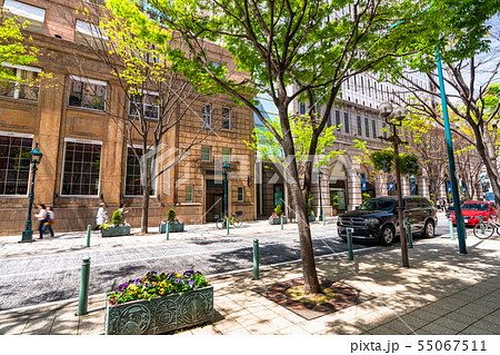 《兵庫県》神戸旧居留地の街並み 《兵庫県》神戸旧居留地の街並み 55067511
