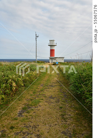 北海道寿都町弁慶岬で弁慶岬灯台の夏の朝の風景を撮影 55067576