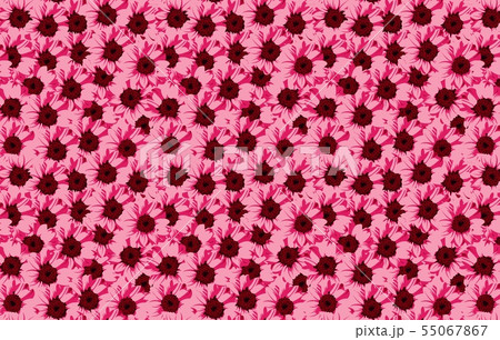 flowers seamless pattern background.illustration  55067867