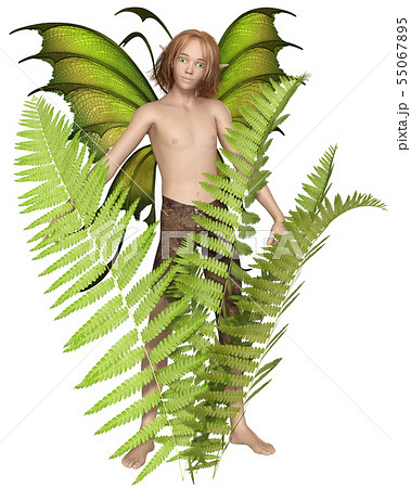 Fairy Boy in the Ferns Fairy Boy in the Ferns 55067895