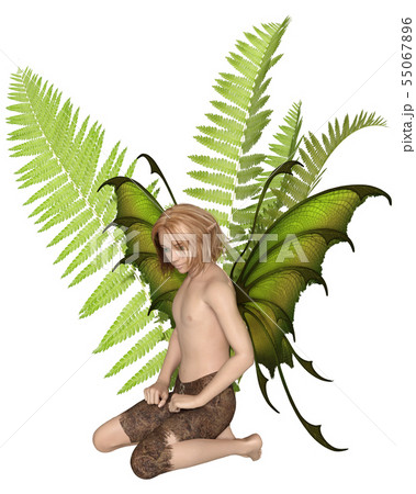 Fairy Boy Kneeling in the Ferns 55067896