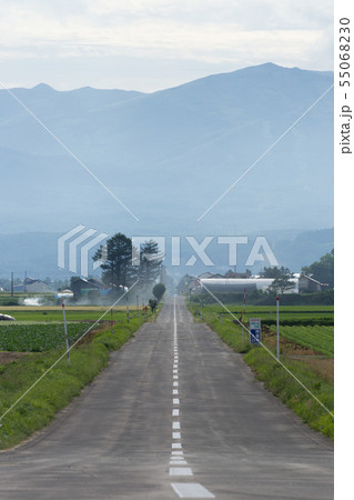 まっすぐな道 まっすぐな道 55068230