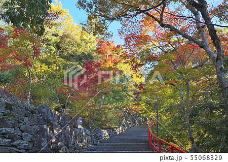 秋色永源寺 55068329