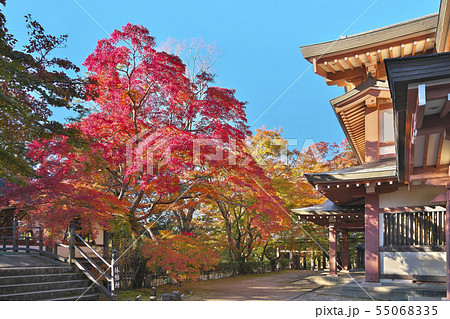 秋色永源寺 55068335