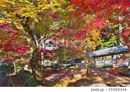 秋色永源寺 55068344