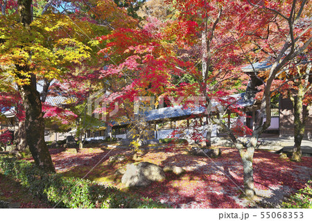 秋色永源寺 55068353