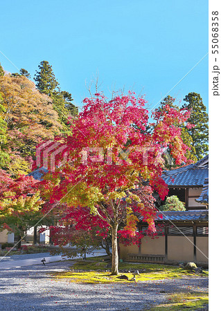 秋色永源寺 55068358