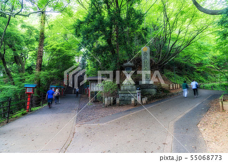 東京　高尾山　男坂と女坂の分岐点 55068773