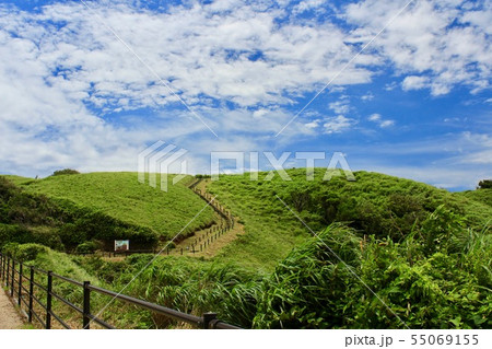 南伊豆　ユウスゲ公園 55069155