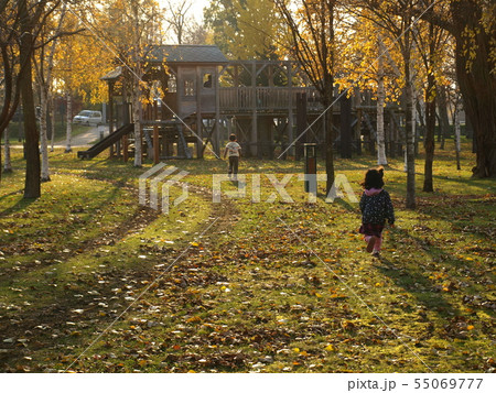 秋の公園 55069777