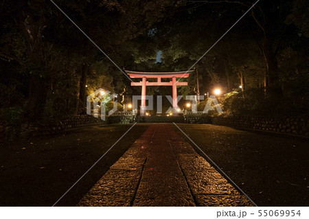 大宮八幡宮-第二鳥居(夜) 大宮八幡宮-第二鳥居(夜) 55069954