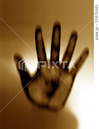 image photo image photo 55070301