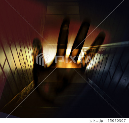 image photo image photo 55070307