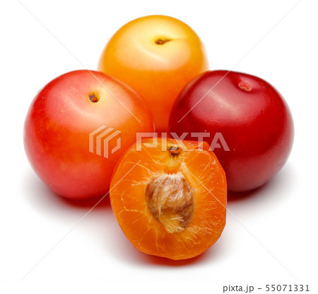Red and yellow plums isolated on white 55071331