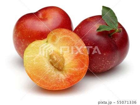 Red and yellow plums with leaves isolated Red and yellow plums with leaves isolated 55071336