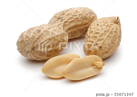 Peanuts isolated on white background Peanuts isolated on white background 55071347