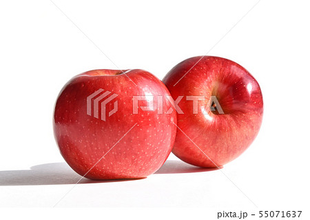 りんご（陽光） 55071637